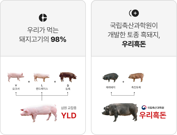 우리흑돈 W