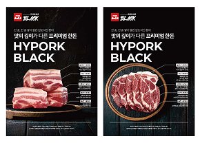 하이포크 블랙 포스터